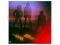 Виниловая пластинка BEE GEES ‎– Spirits Having Flown, 1979 (LP)