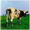 Компакт диск PINK FLOYD – Atom Heart Mother, 1970 (CD, Reissue, Remastered, Unofficial Release 2011)