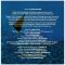 Компакт диск PINK FLOYD – The Dark Side Of The Moon, 1973 (CD, Reissue, Remastered, 50th Anniversary, Unofficial Release 2023)